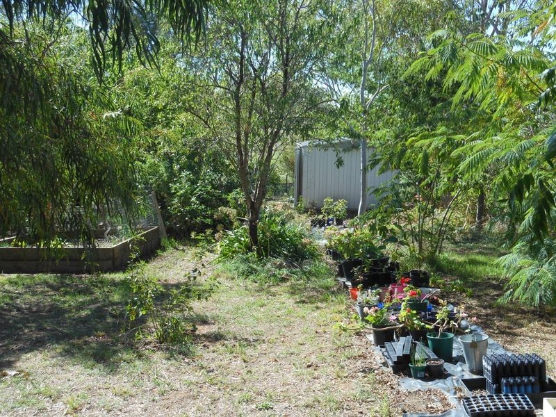 4 Tipperary Lane, Young NSW 2594