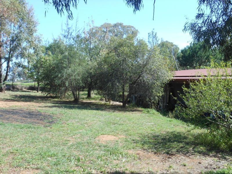 4 Tipperary Lane, Young NSW 2594