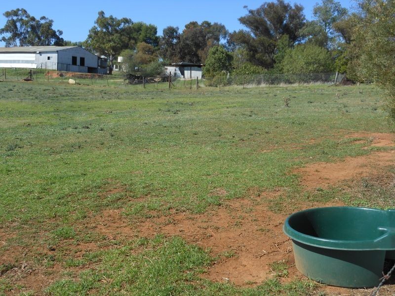 4 Tipperary Lane, Young NSW 2594