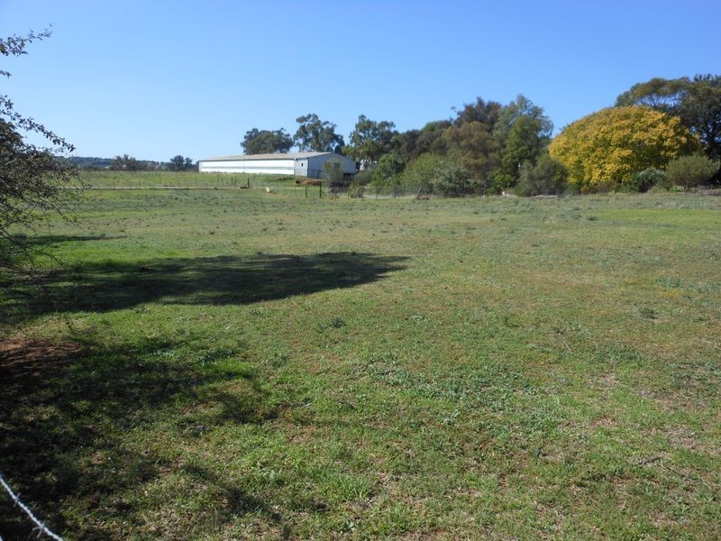 4 Tipperary Lane, Young NSW 2594