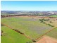 135 Bribbaree Road, Young NSW 2594