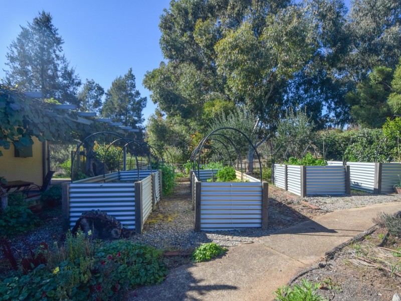 70 Pitstone Road, Young NSW 2594