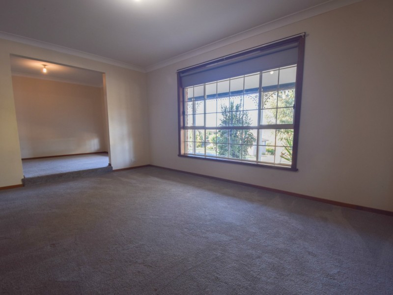 1 Petticoat Lane, Young NSW 2594