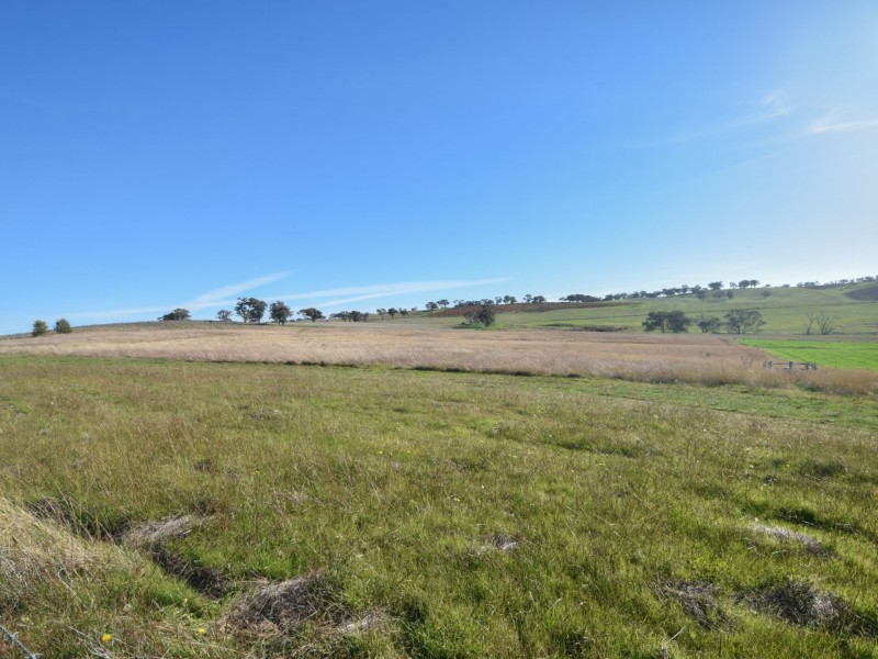 71 Kabardin Lane, Young NSW 2594