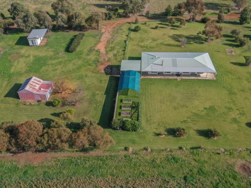 139 Monteagle Stock Route Road West, Young NSW 2594