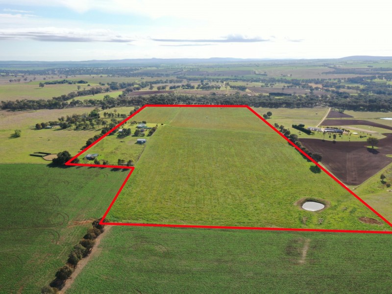139 Monteagle Stock Route Road West, Young NSW 2594