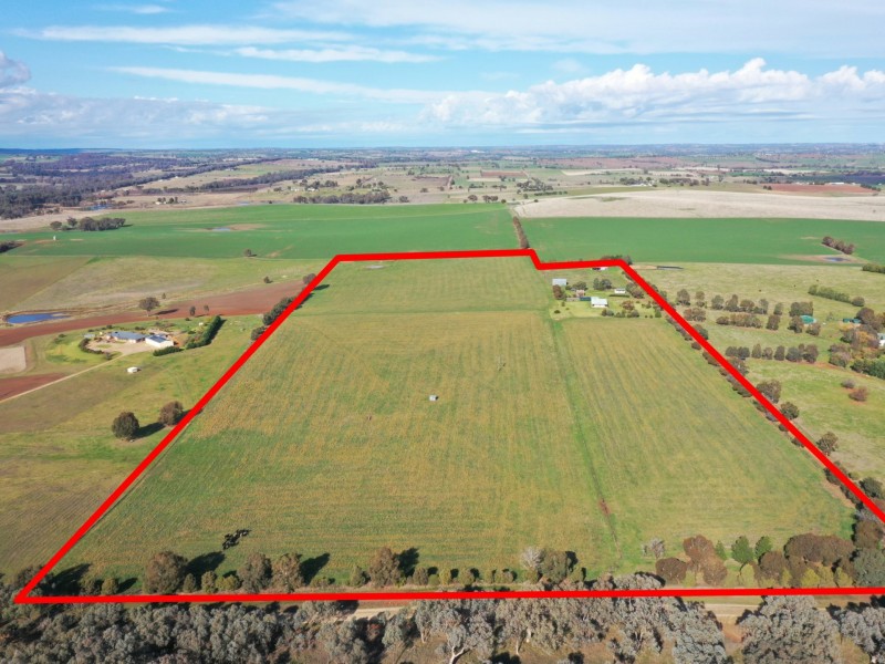 139 Monteagle Stock Route Road West, Young NSW 2594
