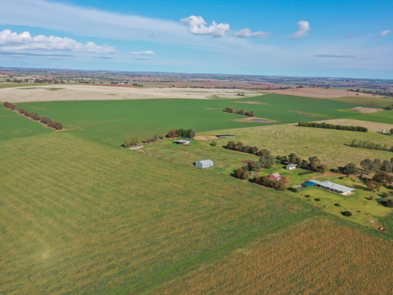 139 Monteagle Stock Route Road West, Young NSW 2594