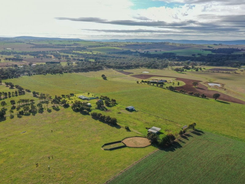 139 Monteagle Stock Route Road West, Young NSW 2594