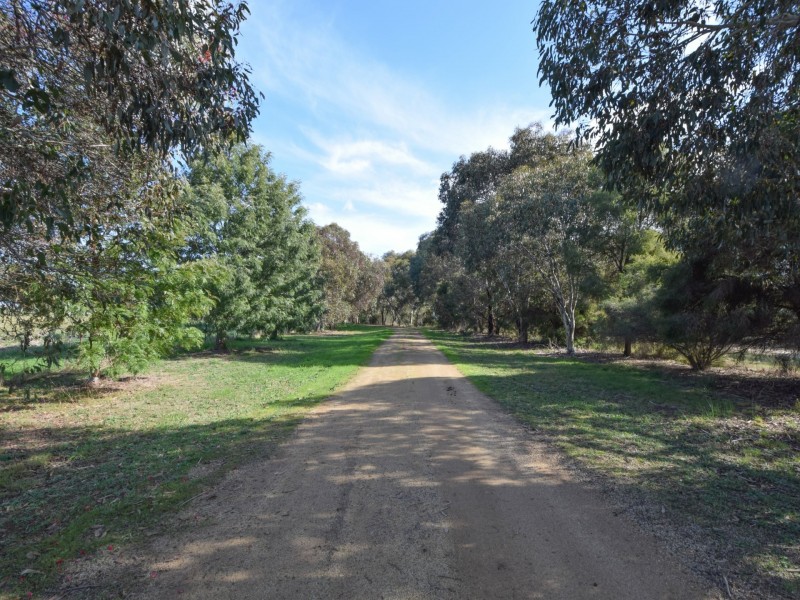 139 Monteagle Stock Route Road West, Young NSW 2594