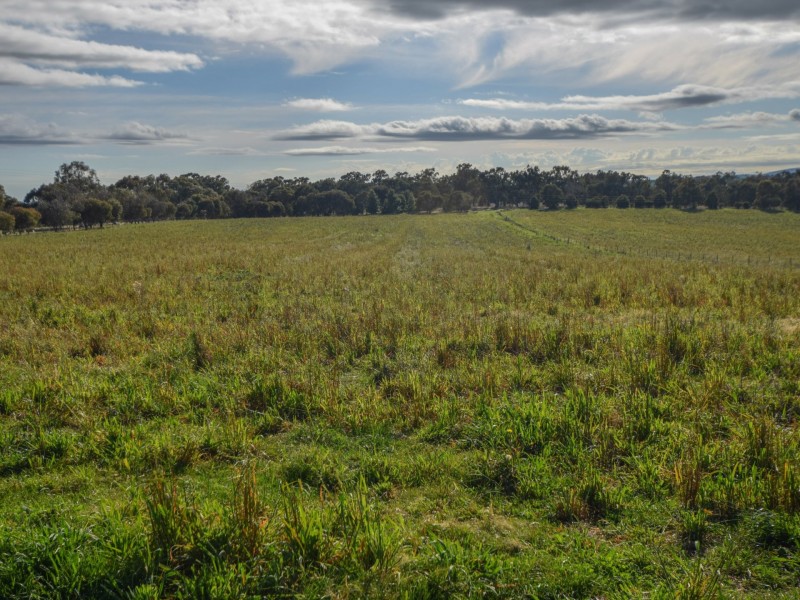 139 Monteagle Stock Route Road West, Young NSW 2594