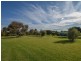 139 Monteagle Stock Route Road West, Young NSW 2594