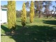 40 Forsythe Avenue, Young NSW 2594
