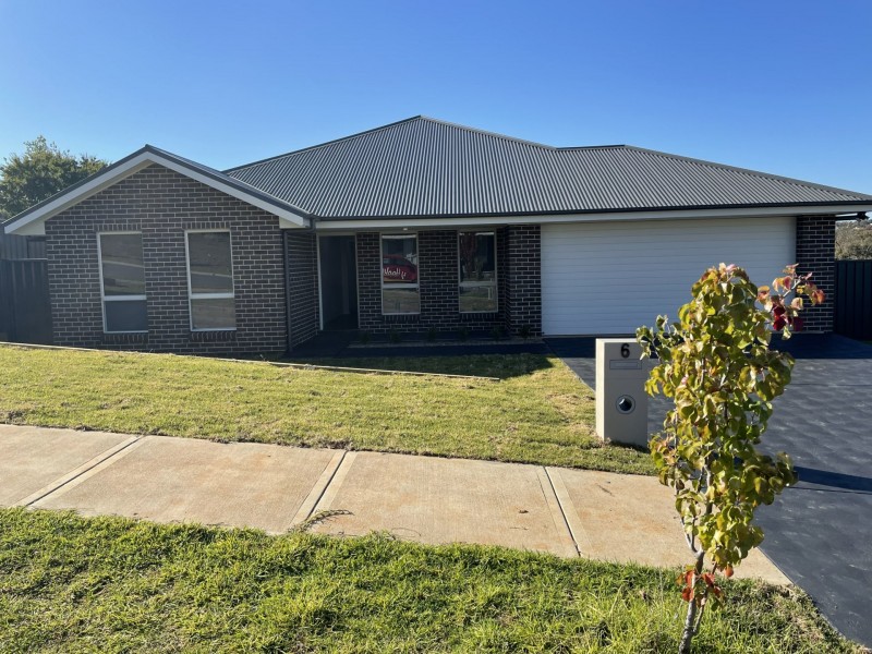 6 Nellee Place, Young NSW 2594