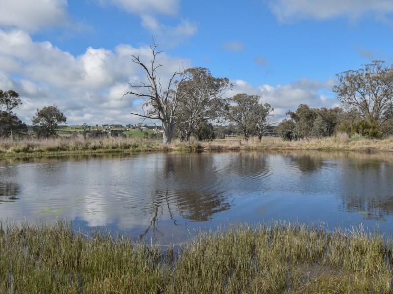 105 Wambanumba Drive, Young NSW 2594