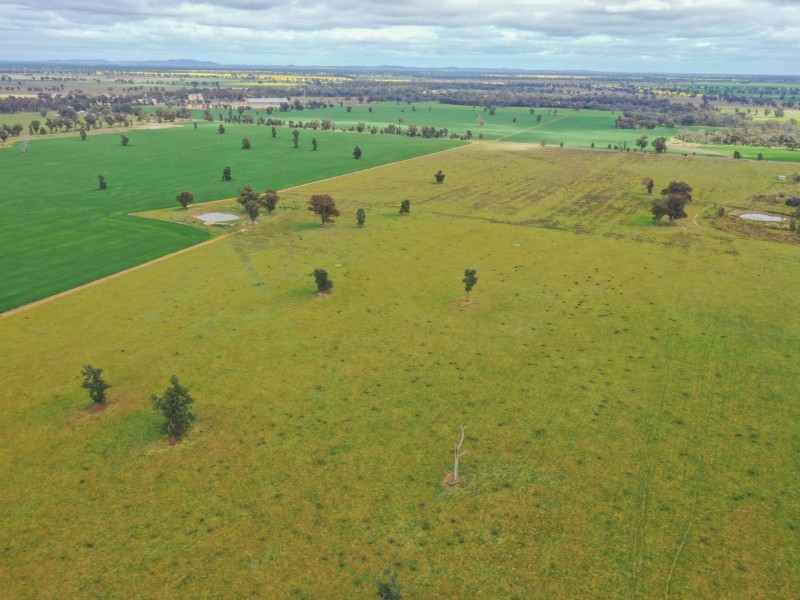 223 Morans Road, Bribbaree NSW 2594