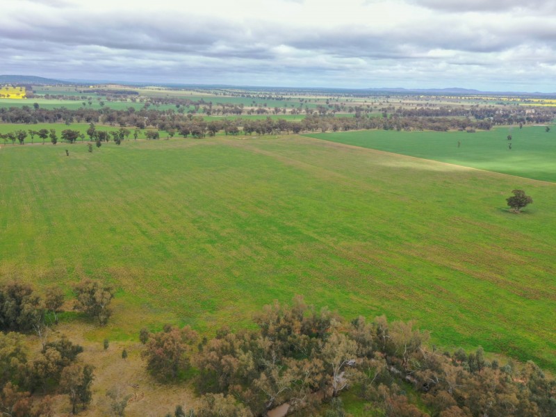 223 Morans Road, Bribbaree NSW 2594