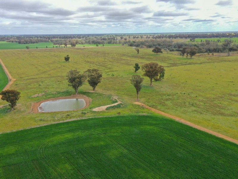 223 Morans Road, Bribbaree NSW 2594