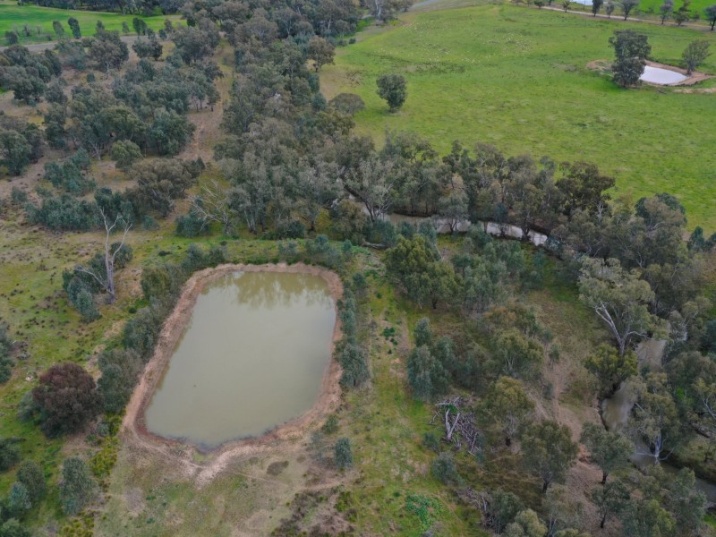 223 Morans Road, Bribbaree NSW 2594