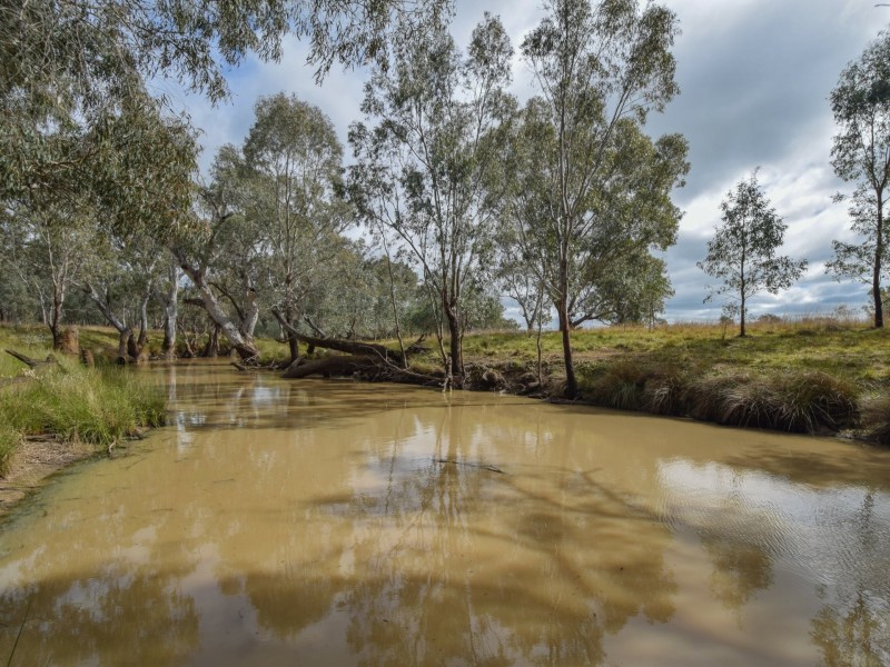 223 Morans Road, Bribbaree NSW 2594