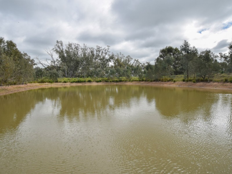 223 Morans Road, Bribbaree NSW 2594