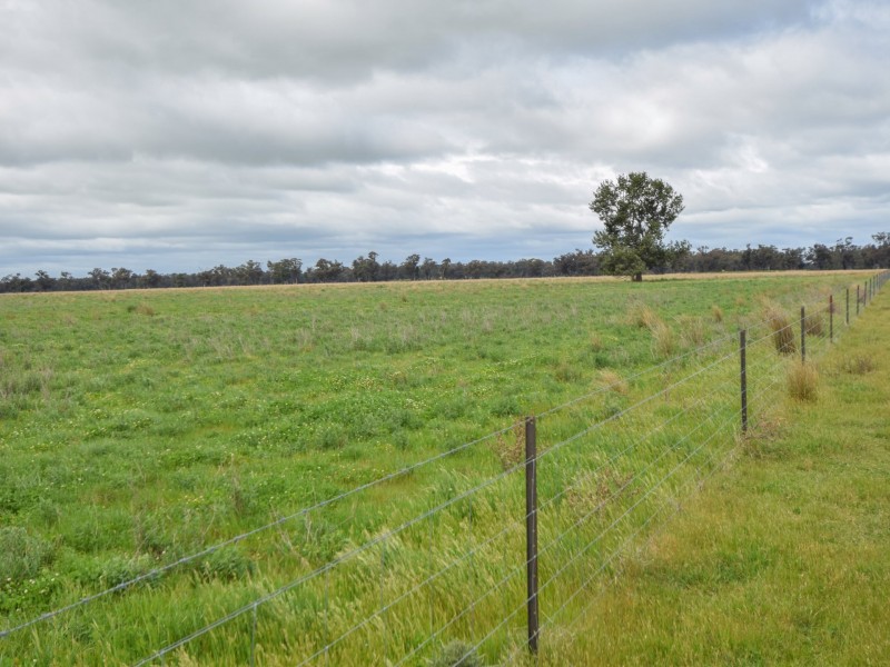 223 Morans Road, Bribbaree NSW 2594