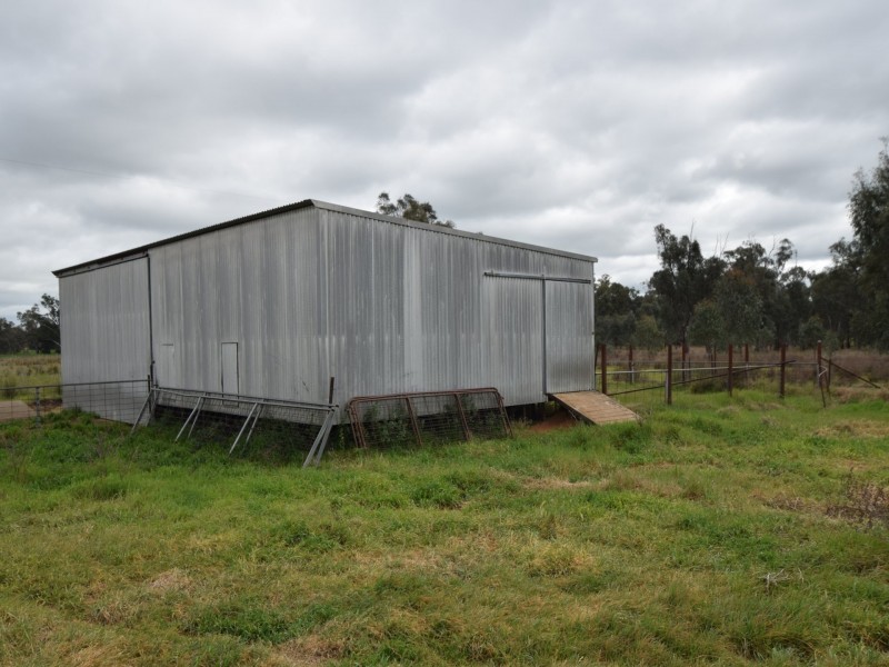 223 Morans Road, Bribbaree NSW 2594