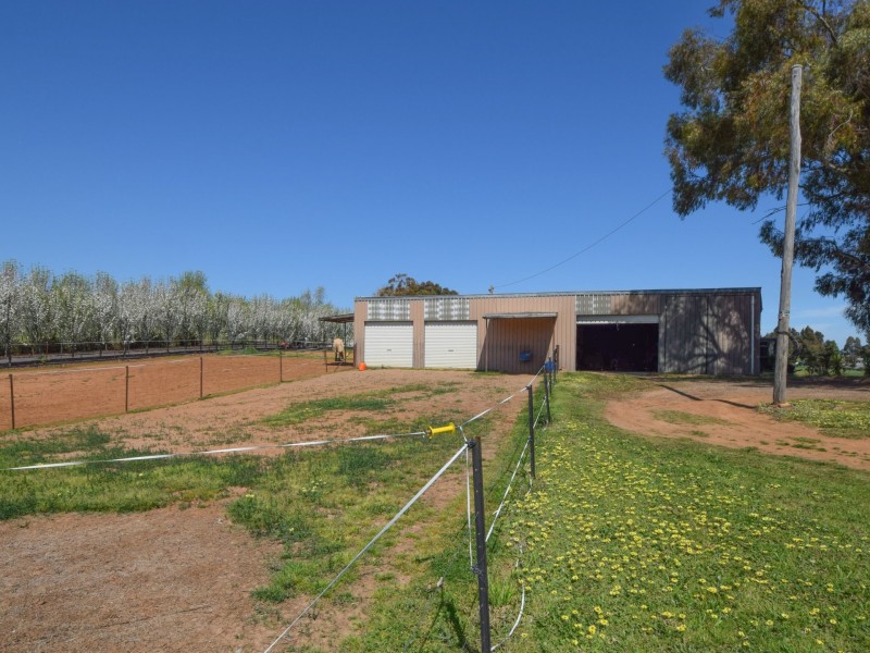 67 Windermere Street, Young NSW 2594