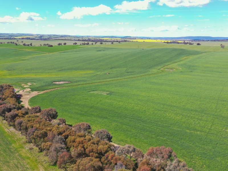 323 Iandra Road Greenethorpe via, Cowra NSW 2794