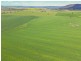 323 Iandra Road Greenethorpe via, Cowra NSW 2794