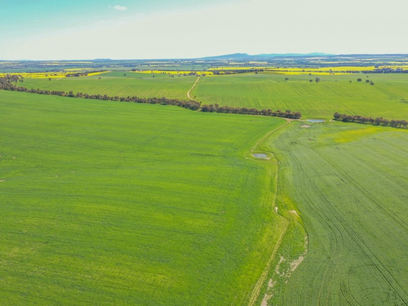 323 Iandra Road Greenethorpe via, Cowra NSW 2794