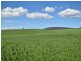 323 Iandra Road Greenethorpe via, Cowra NSW 2794