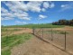 323 Iandra Road Greenethorpe via, Cowra NSW 2794
