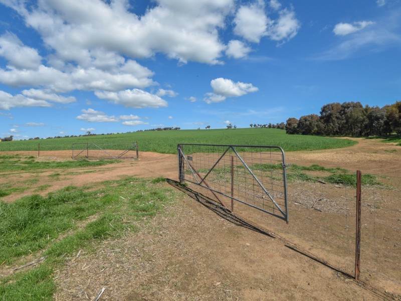323 Iandra Road Greenethorpe via, Cowra NSW 2794