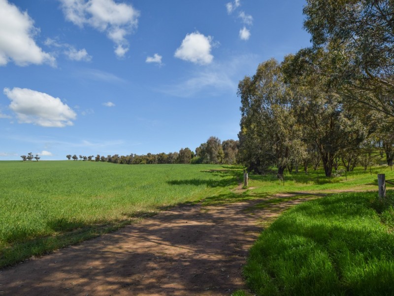 323 Iandra Road Greenethorpe via, Cowra NSW 2794