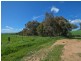 323 Iandra Road Greenethorpe via, Cowra NSW 2794
