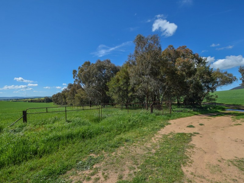 323 Iandra Road Greenethorpe via, Cowra NSW 2794
