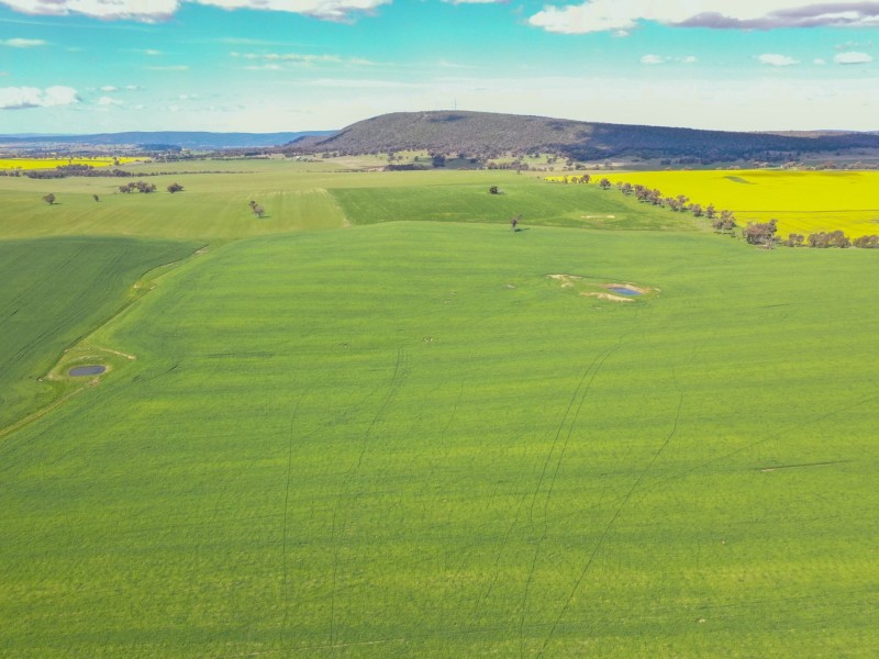 323 Iandra Road Greenethorpe via, Cowra NSW 2794