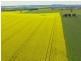 323 Iandra Road Greenethorpe via, Cowra NSW 2794