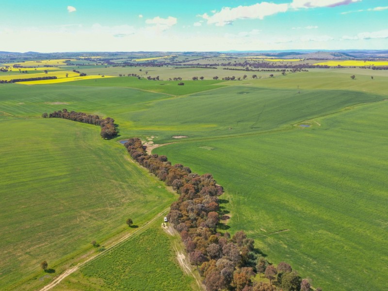 323 Iandra Road Greenethorpe via, Cowra NSW 2794