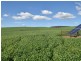323 Iandra Road Greenethorpe via, Cowra NSW 2794