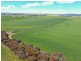 323 Iandra Road Greenethorpe via, Cowra NSW 2794