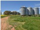 323 Iandra Road Greenethorpe via, Cowra NSW 2794