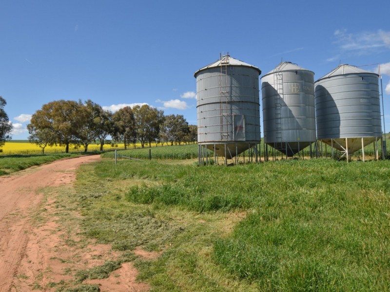 323 Iandra Road Greenethorpe via, Cowra NSW 2794