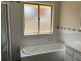 113 Binalong Street, Young NSW 2594