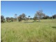 1478 Wombat Road, Wombat via, Young NSW 2594