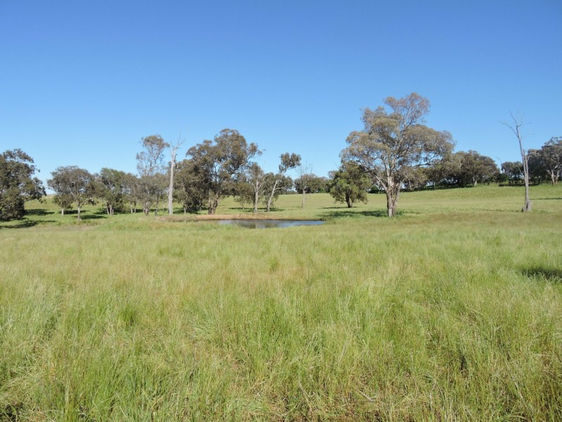 1478 Wombat Road, Wombat via, Young NSW 2594