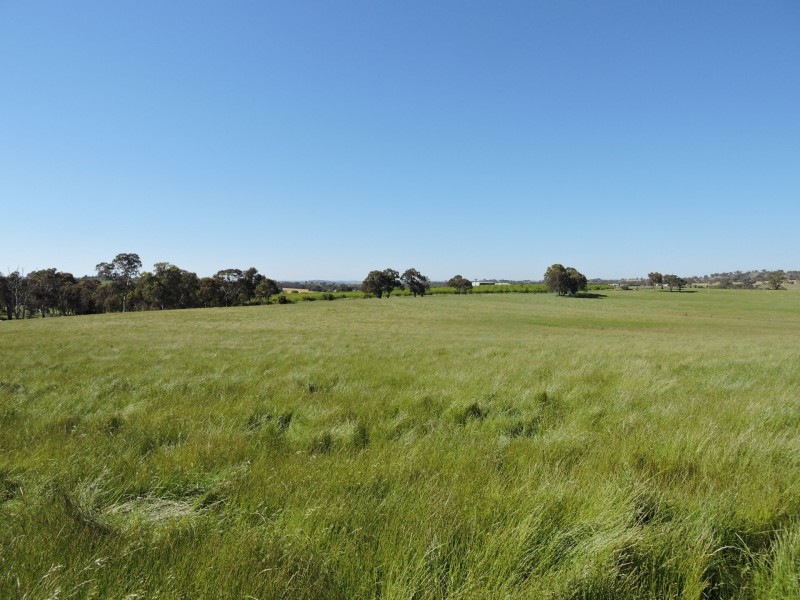 1478 Wombat Road, Wombat via, Young NSW 2594