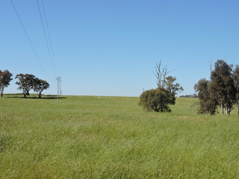 1478 Wombat Road, Wombat via, Young NSW 2594