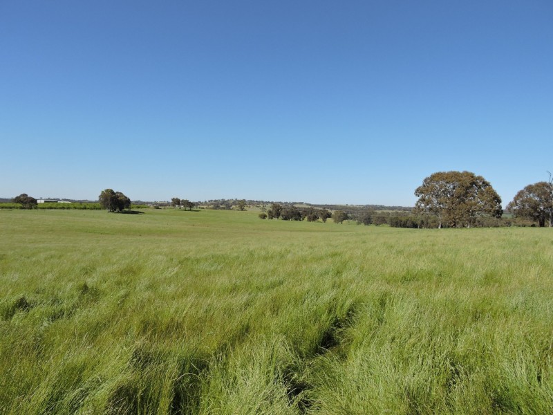 1478 Wombat Road, Wombat via, Young NSW 2594